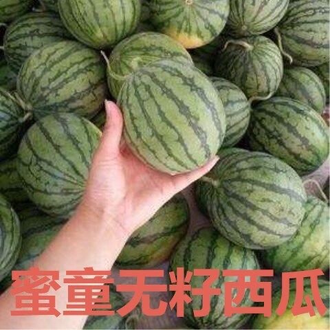 江山市蜜童无籽西瓜#