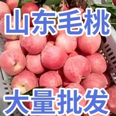 临朐县毛桃  秋甜毛桃大量上市，口感脆甜，电商，市场，超市全国发货