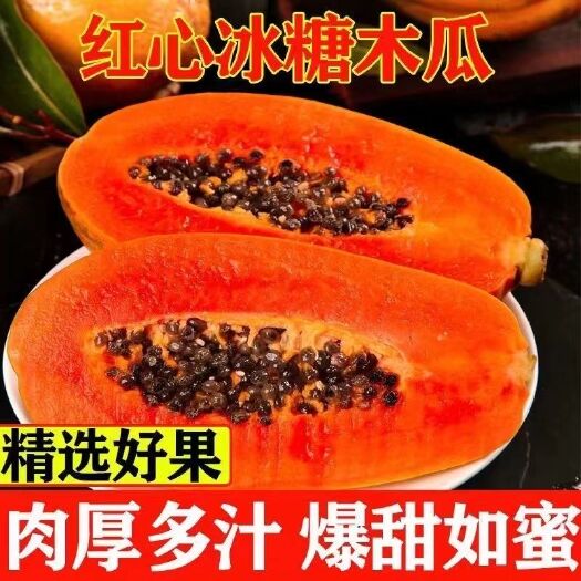 [24小时内发货]云南红心牛奶木瓜新鲜水果树上熟大果批发价