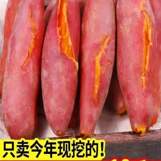 钟山县广西产地批发红薯，西瓜红，紫薯货源充足