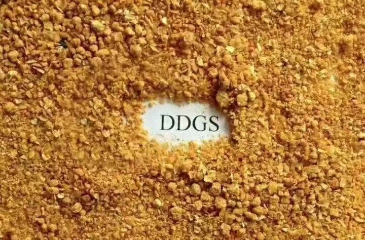 宝清县DDGS玉米酒糟