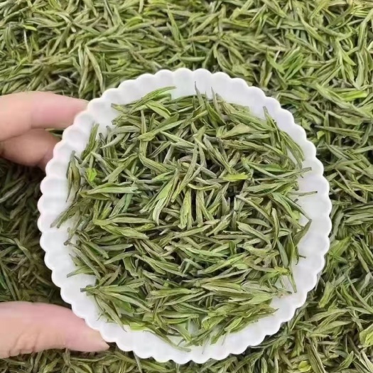 安吉县2023安吉白茶绿茶