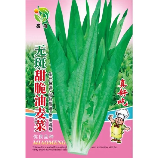 油麦菜种子无斑甜脆油麦菜种子籽蔬菜种子好吃油麦菜种子籽