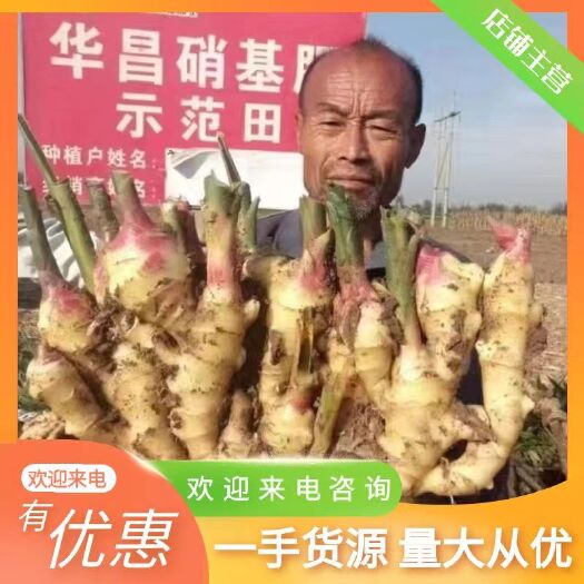 【电商货】-《沙土姜/水洗姜/风干姜/姜段老姜》全国发货