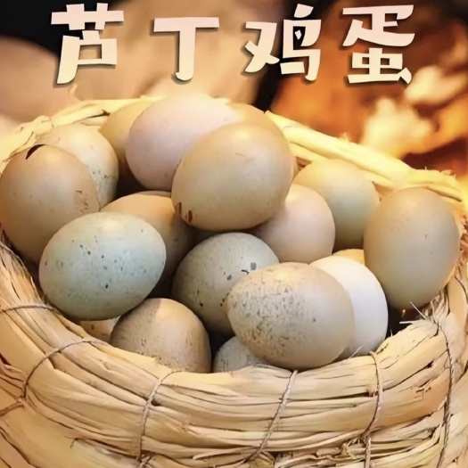 济南鸡蛋/鸭蛋/鹅蛋/芦丁鸡/芦丁鸡蛋
