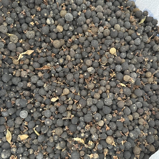 丹棱县枳实干果 晒干 红美人 耙耙柑 丑八怪