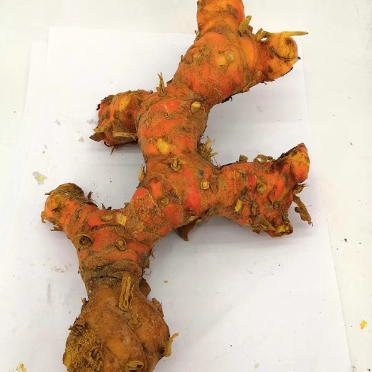 南宁大量供应姜黄