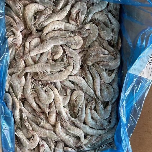 虾先生大板盐冻 12Kg 餐饮适用