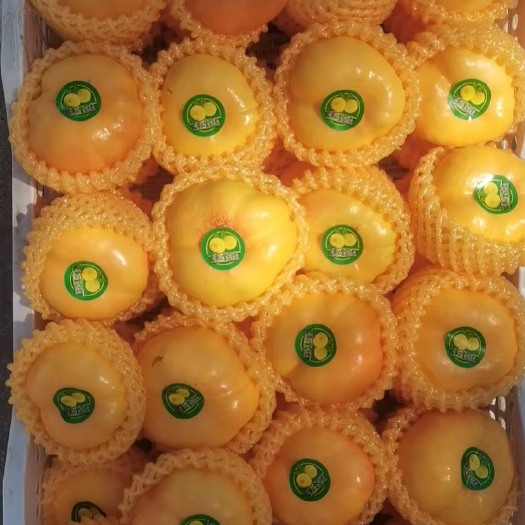 烟台黄金油蟠桃