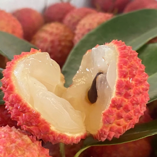 高州市广东高州桂味荔枝，桂味荔枝，纯甜无酸，小核桂味