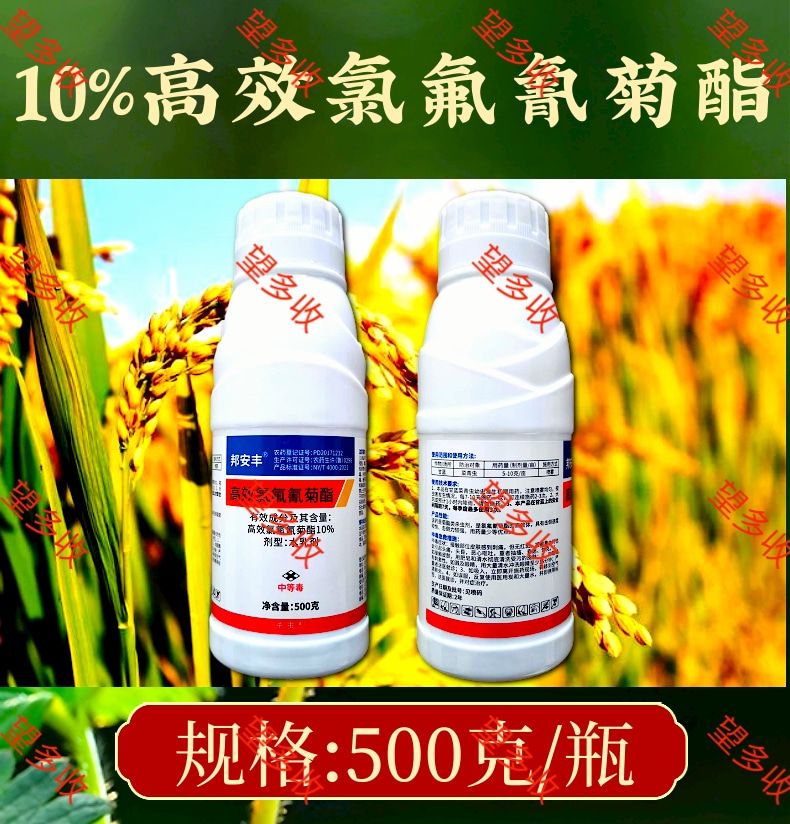 10%高效氯氟氰菊酯功夫王杀虫