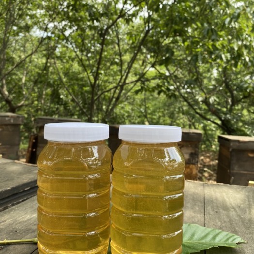 信阳急出，给钱就买新鲜现打荆条蜜，41度左右高浓度好蜜