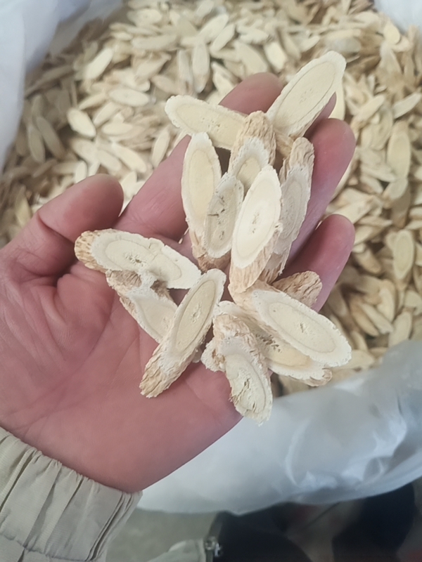 棉黄芪切片