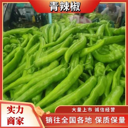 中牟县辣椒长豆角，瓠子，肉丝瓜，黄瓜，苦瓜，品种齐全，【官方推荐】