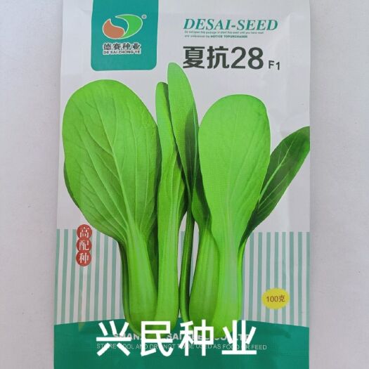 华容县耐热青梗菜种子德赛夏抗28高配种子耐高温叶片直立性强亮绿色
