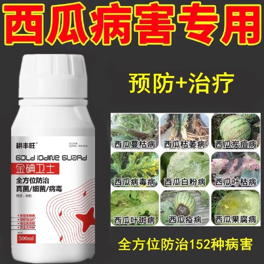 扶沟县西瓜病全治西瓜杀菌剂微生物菌剂杀菌炭疽病白粉病叶斑病根腐