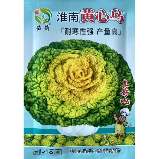 黄心乌塔菜种子乌塔菜种子蔬菜种子白菜乌塔菜种子籽