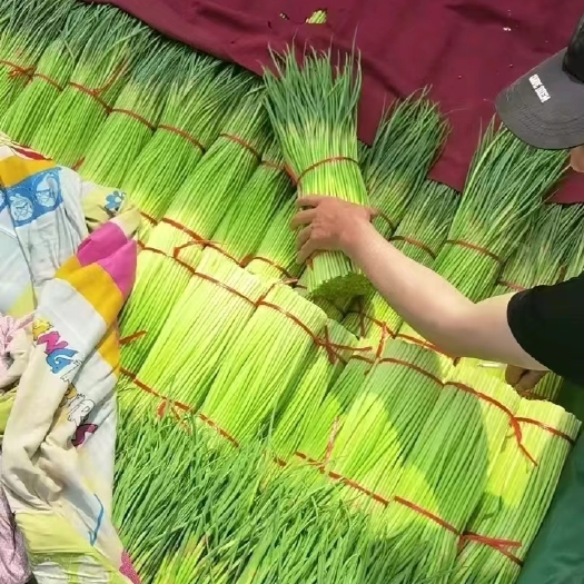 开封红帽蒜苔