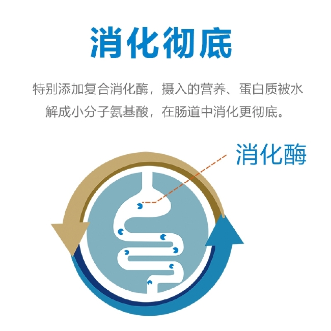 健胃散开胃增食调理肠胃道，防治积食胀气，消化不良等问题