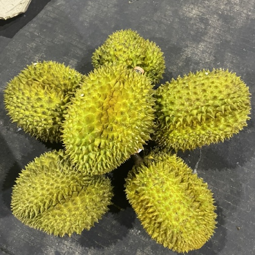 广州榴莲A6