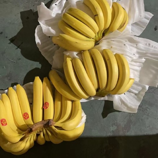 滕州市国产香蕉，价格劲爆，品质有保证！