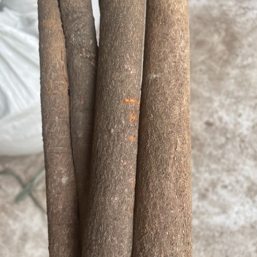 德庆县桂皮