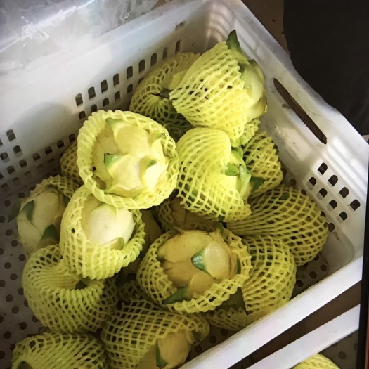 长沙火龙果.黄龙果