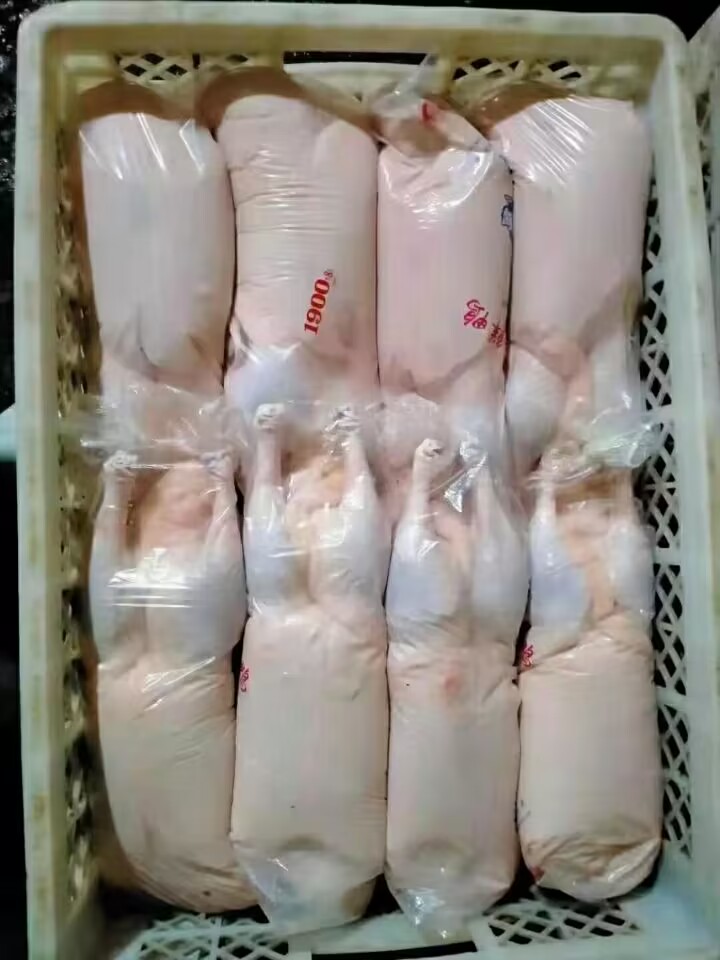 樱桃谷瘦肉型白条鸭