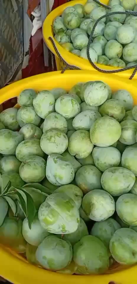 灌阳县桃形李