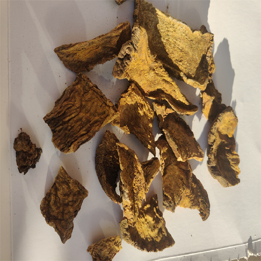 亳州大黄碎渣货源厂家直发保质量优惠批发