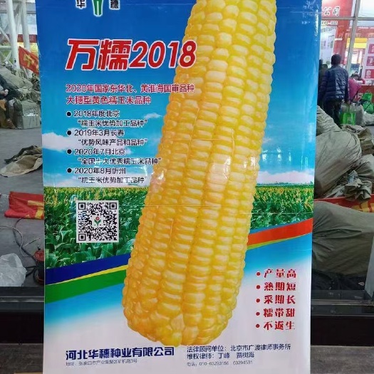 凌海市万糯 2018