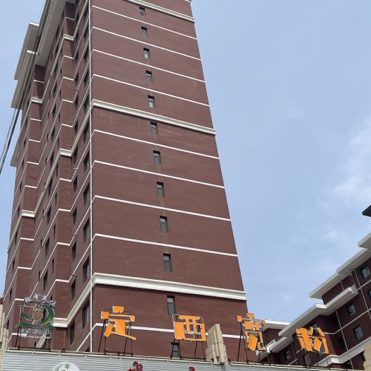 渭源县正宗定西宽粉