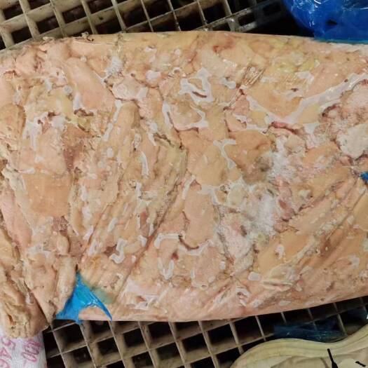 滨州鸡板油大量有货
