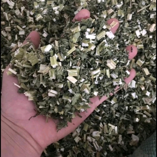 邳州市益母草，大量干货有需要的联系