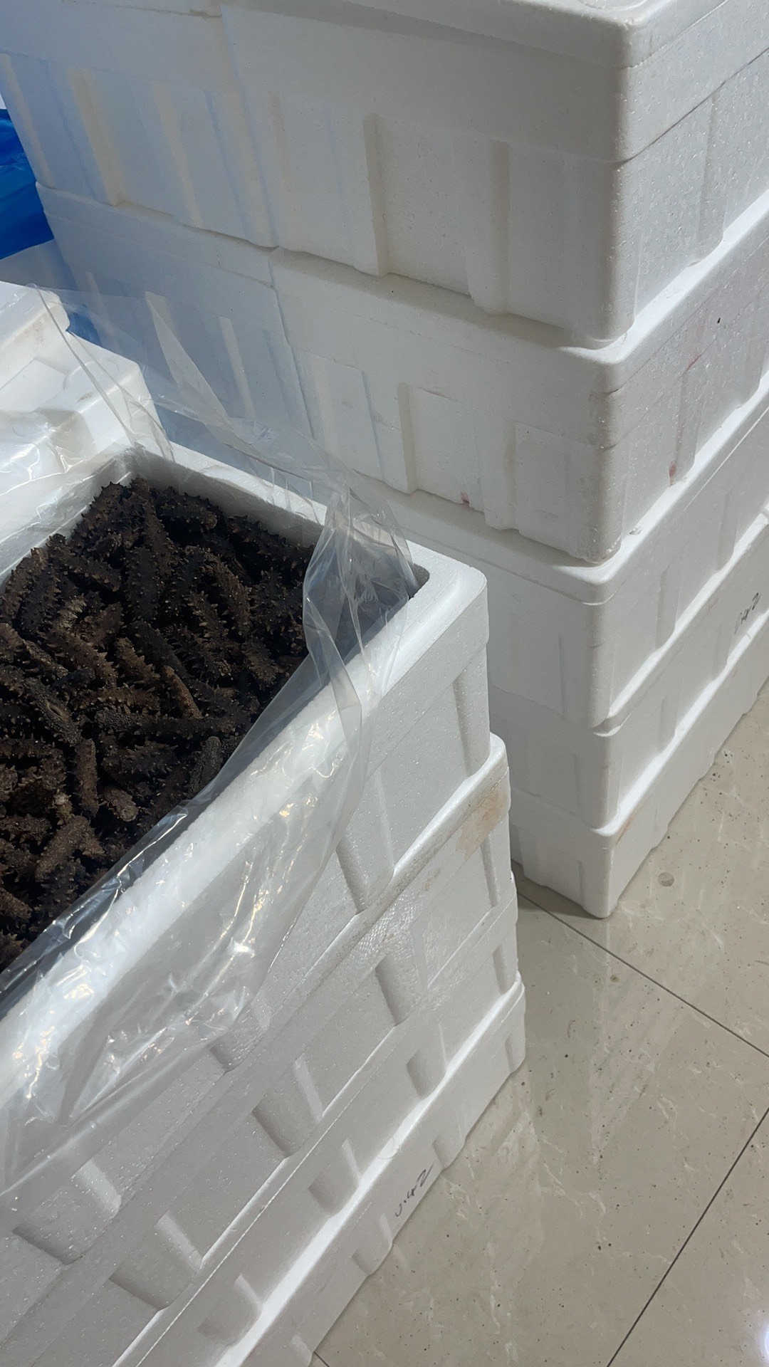 最便宜的电商款辽参