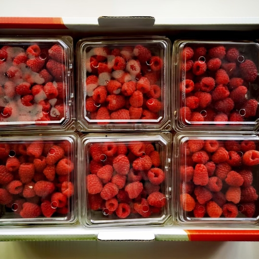青海树莓鲜果(出口级品质3000米产区)