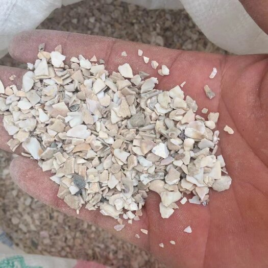 贝壳粉 高钙贝壳粉