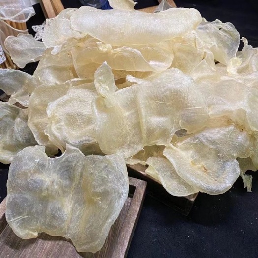 广州蝴蝶胶 清水A货蝴蝶肚花胶鱼胶