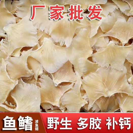广州浦鱼翅 天然风干海狗翅 新鲜软骨翅鱼翅