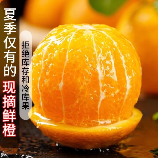 湖北夏橙产地一手货源,对接市场,电商平台,商超,社区团购,