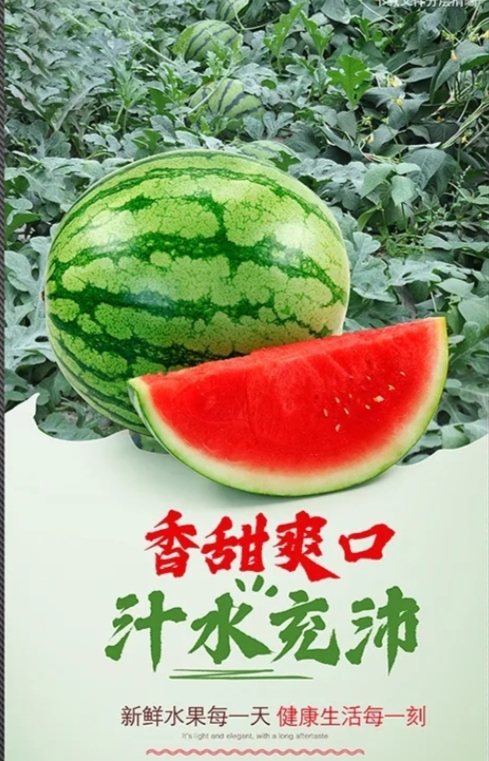 灵寿县河北甜王  脆甜的很 个大 水多 有意电话联系