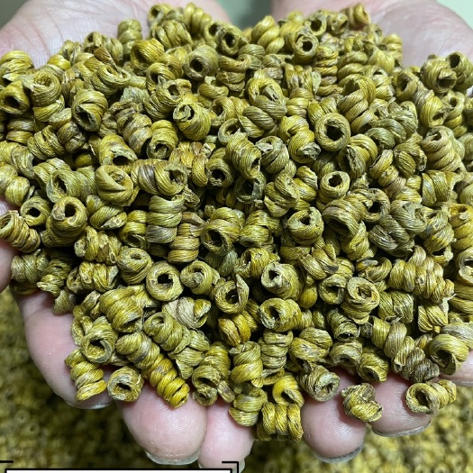合肥霍山铁皮石斛自产自销一件简装代发，有检测报告和发票，量大价可