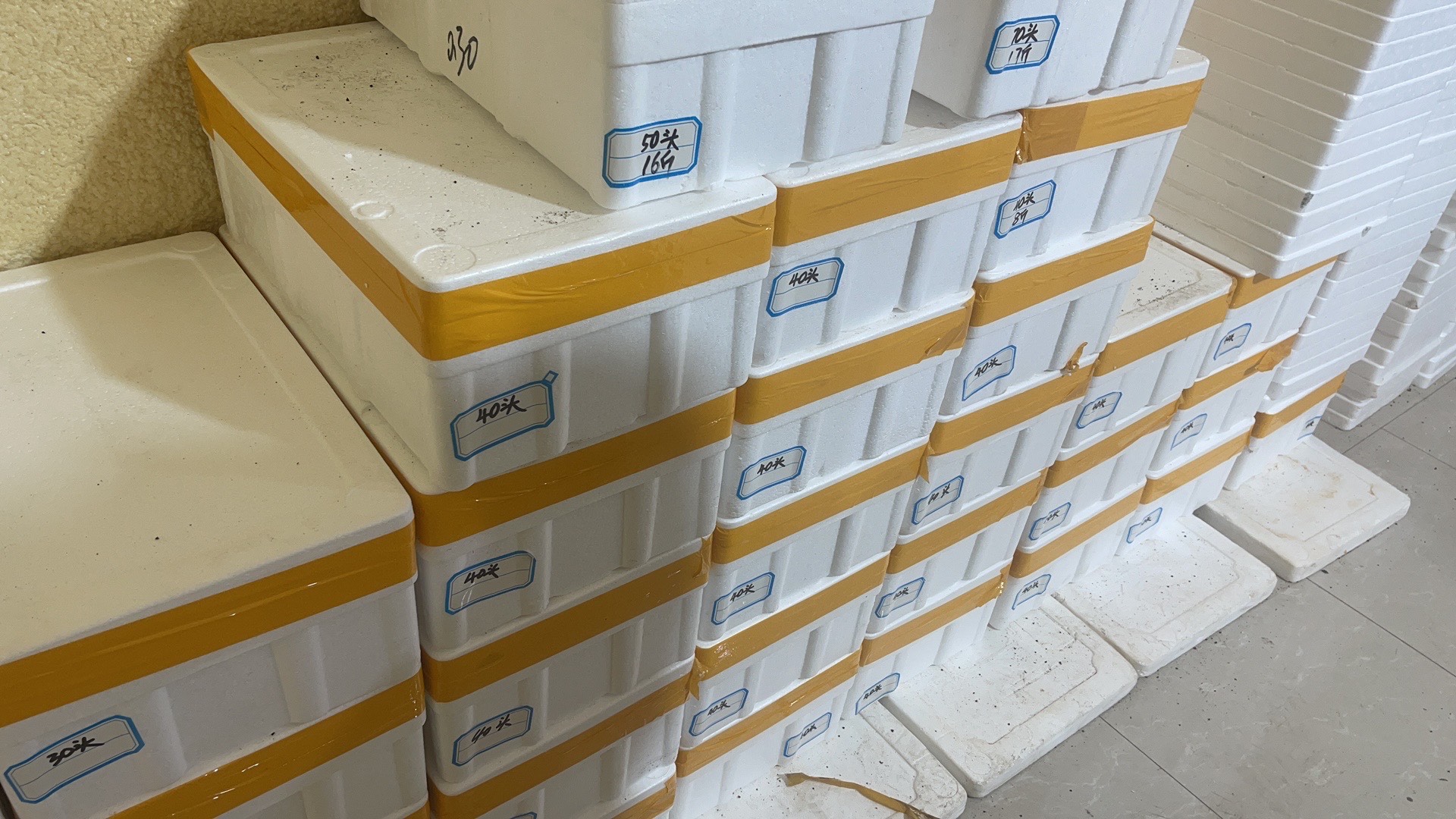 最便宜的电商款辽参