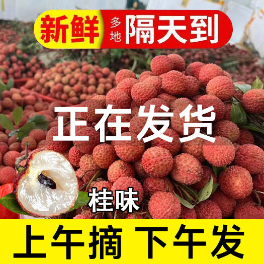 广州【冷链空运包邮】爽甜多汁核小肉厚广东从化桂味荔枝应季水果现摘