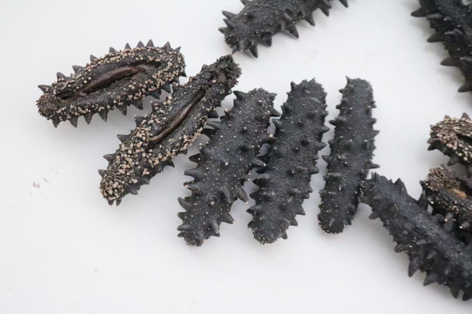 40-50头开口大连淡干辽参 密刺 刺针 厚肉9倍泡发率