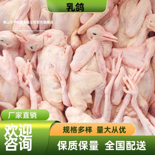 佛山厂家直销 包邮 乳鸽 冰鲜冷冻 现货批发 真空包装