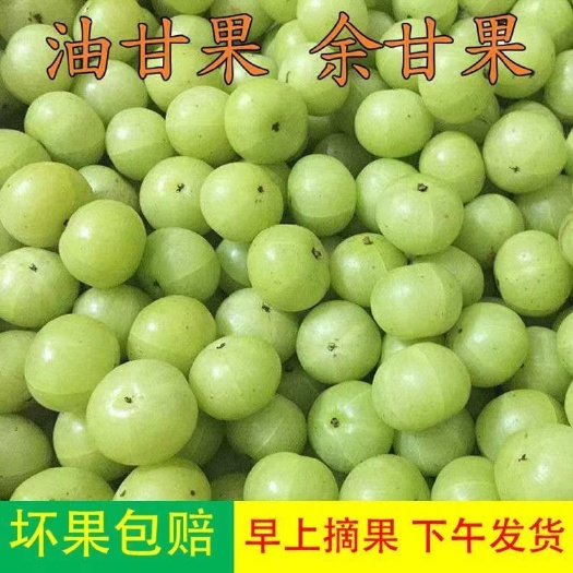 普宁市甜油柑果通货工厂  奶茶店榨汁