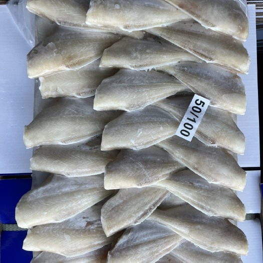 北海广西北海马面鱼耗儿鱼黄尾兰尾黑尾越南国产可定制冰衣盘冻