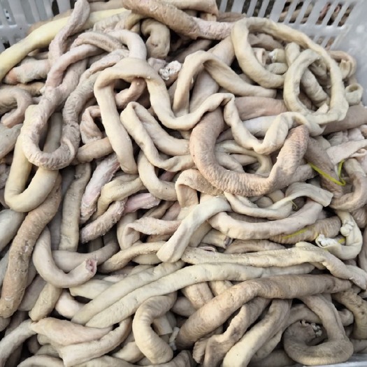 营口牛肠牛小肠牛圆肠