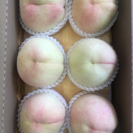 常州无锡阳山水蜜桃特甜应季新鲜水果6两6只精品装